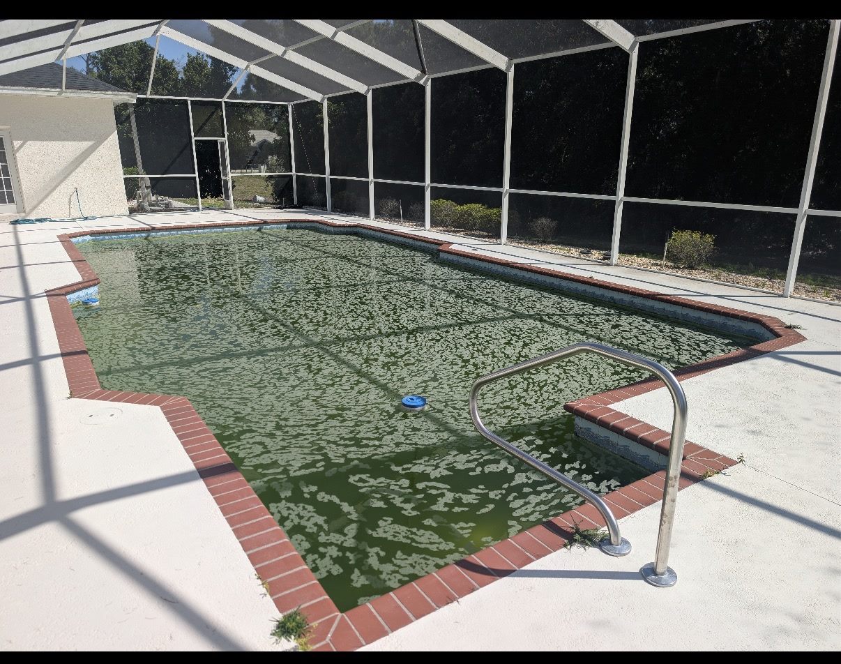 Green debris-filled pool before cleaning